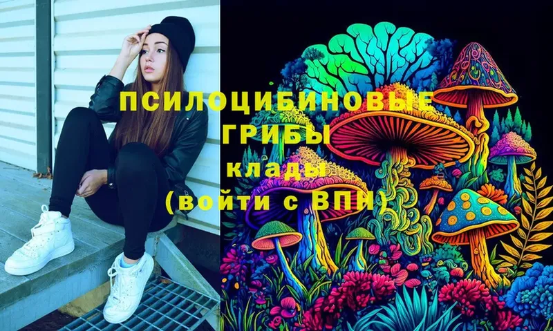 Псилоцибиновые грибы Psilocybe  гидра как войти  Раменское 